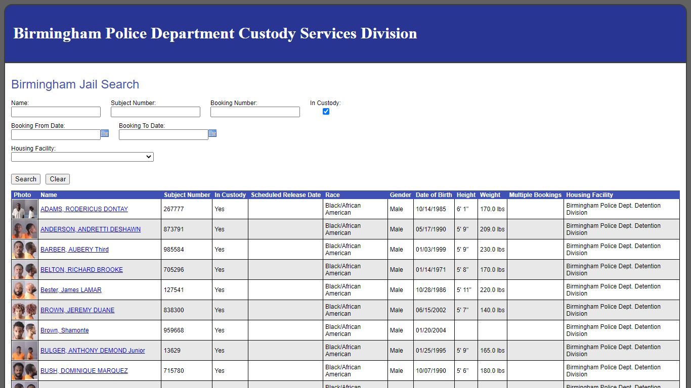 Birmingham Jail Search